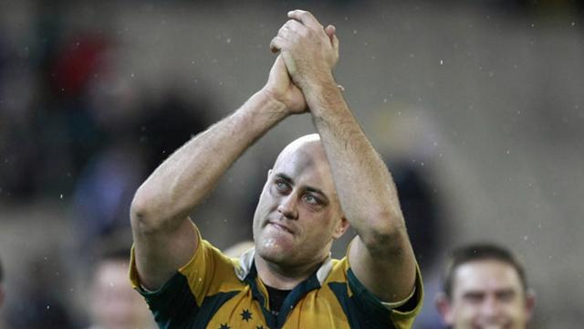 Les Wallabies à la loupe (1)