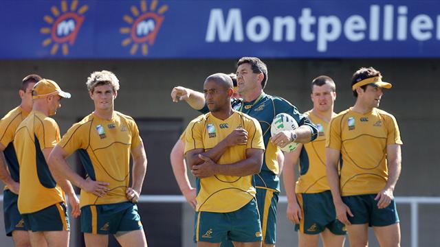 Les Wallabies dans leur Manoir