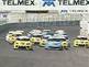 Gene dominates Race 1