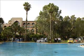 FIA WTCC-Marrakech_GP_Cars