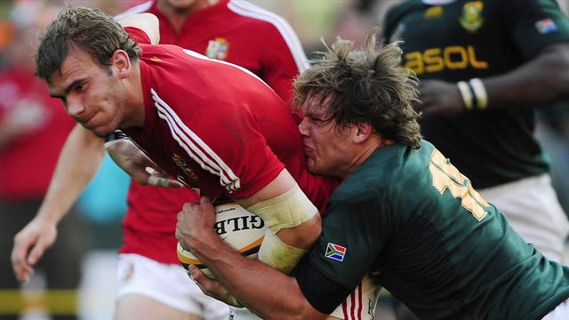 Les Lions sur leur faim