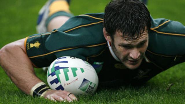 Des Springboks décimés et vexés