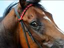 Racing results: Monday 13 May
