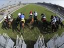 Racing results: Wednesday 30 January