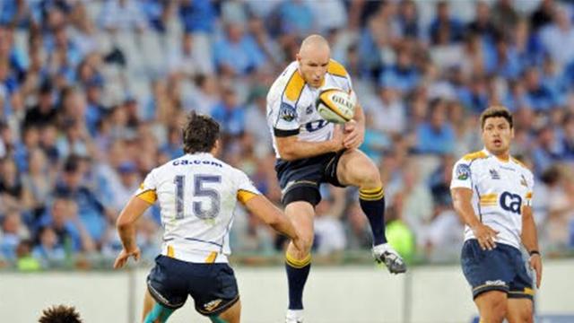 Bon galop d'essais pour les Brumbies