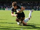 Wasps back on track