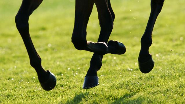 Racing results: Sunday May 27