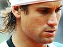 David Ferrer