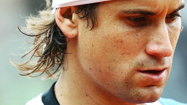 David Ferrer