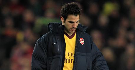 
				Fabregas in car crash