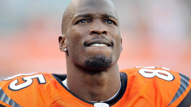 Chad Johnson arrested on domestic violence