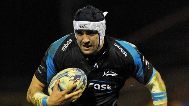 Brive knock out Sale