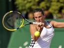 Vinci crashes out 