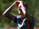 Raul Meireles