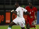 Sow signs for Fener
