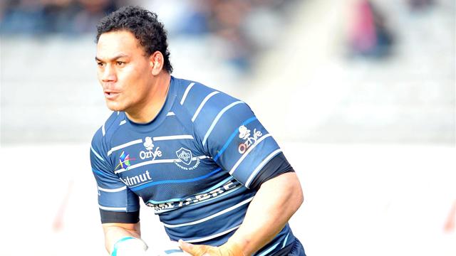 Castres veut sa revanche