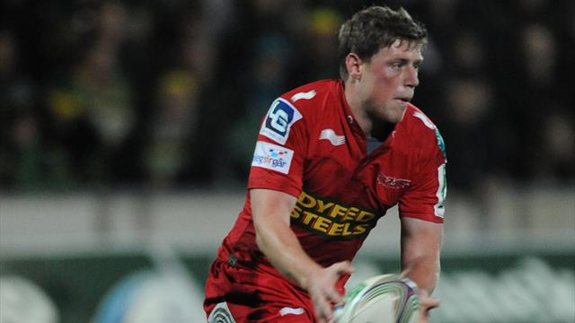 Scarlets fight back for draw