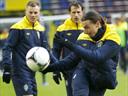 Squad profiles: Sweden