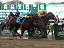 Union Rags wins in NY