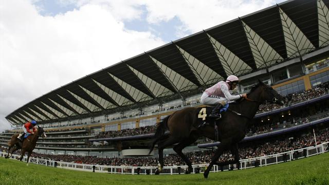 Fallen For You wins - Horse Racing
