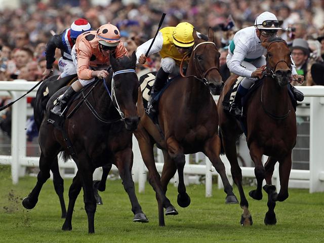 Black Caviar clings on - Horse Racing