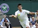 Djokovic breezes through