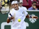 Ferrer wins Bastad title