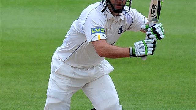 Bears on top - Cricket