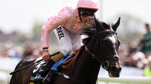 Pin On Horse Racing Flat Jumps