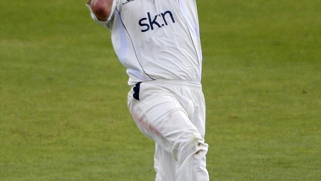 Ireland determined for - Cricket