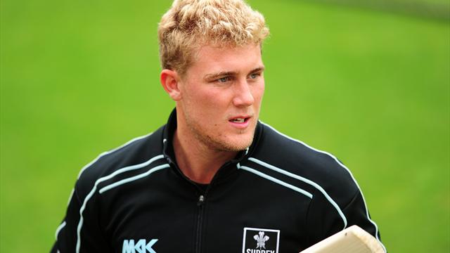 Hamilton-Brown gives up - Cricket