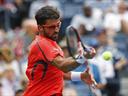 Tipsarevic cruises through