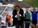 Red Star name Sa Pinto as coach after Jankovic departs