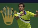 Cilic battles through to Zagreb final