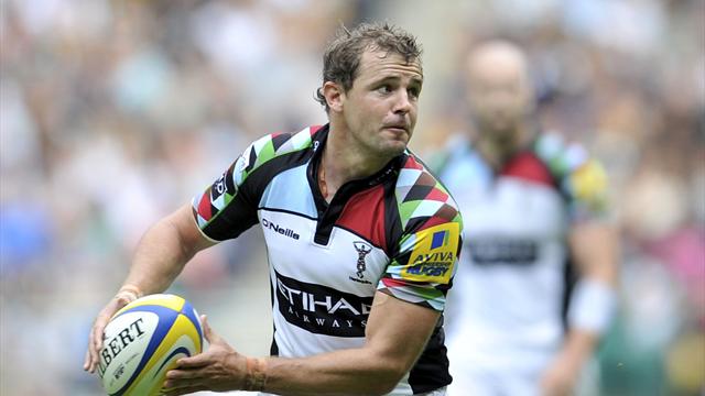 Les Harlequins dans la cour des grands