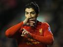 Suarez admits to diving