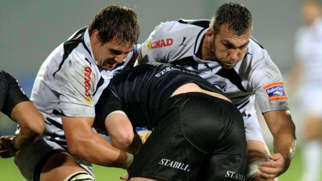 Les Zebre pour sauver l'honneur
