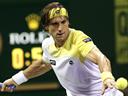 Ferrer into Auckland final, Del Potro wins at Kooyong