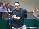 Del Potro beats Monfils to progress