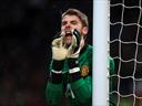 De Gea: Job is only half done