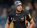 Wasps enjoying turnaround in fortunes