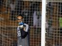 Palmeiras goalkeeper hurt by own fans