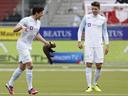 Zurich defender bitten by pine marten