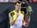 Murray, Djokovic through at Indian Wells