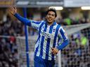 Brighton make light work of Palace