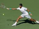 Del Potro ruled out of Madrid Open with virus