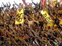 AEK set for landmark relegation after points deduction 