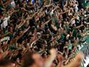 Panathinaikos win appeal for Super League licence