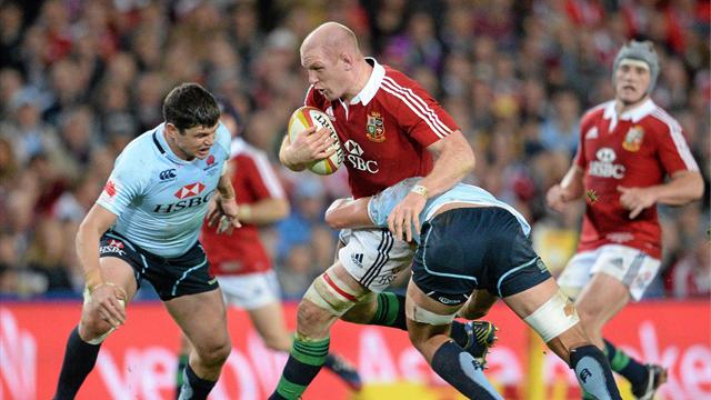 Lions britanniques: on y voit (un peu) plus clair