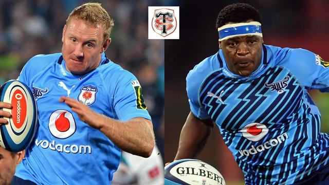 Nouvelles stars du Top 14: Vermaak-Ralepelle, duo par défaut ?